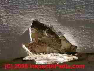 Photograph of paint failure details